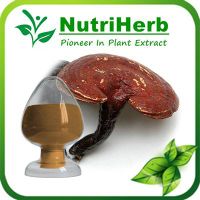 Reishi Triterpenes/Reishi Mushroom Extract Polysaccharide/Reishi powder thumbnail image