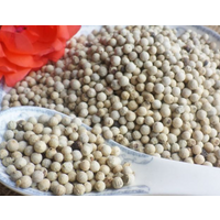 Pepper Spices Seasoning Bulk White Pepper With High Quality/ WA: +84352310575 thumbnail image