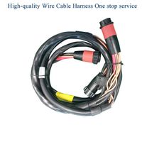 Custom Wire Harness and Cable Assembly thumbnail image