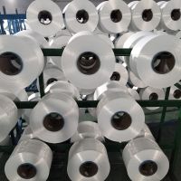 China factory direct sale high tenacity nylon 6 filament yarn thumbnail image