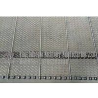 Chain mesh belt for cleaning and sterilizing vegetables thumbnail image