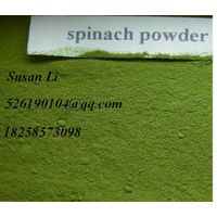 Purest 80-200 Mesh Spinach Powder Raw Food Ingredient thumbnail image