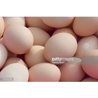 hatching duck eggs thumbnail image
