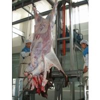 Hydraulic Type Cattle Skin Removed Machine thumbnail image