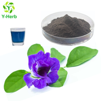 High Quality Water Soluble Butterfly Pea Powder thumbnail image