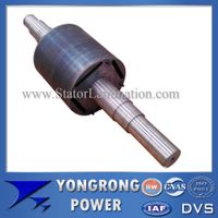 Permanent Magnet Electric Motor Die Cast Rotor Core thumbnail image