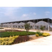 Clear Plastic Film Multi Span Agricultural Greenhouse for Planting thumbnail image
