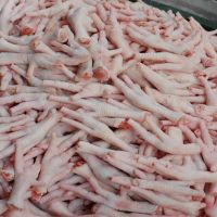 Premium Quality Processed Frozen Chicken Feet/Paws /Wings for sale thumbnail image