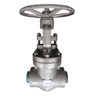 ASTM A182 F22 Wedge Gate Valve thumbnail image