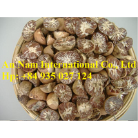Dry betel nuts thumbnail image