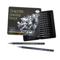 Wholesale Professional 12 Pcs Set Drawing Pencil Charcoal Pencil Woodless Graphite Pencil For Sketch thumbnail image