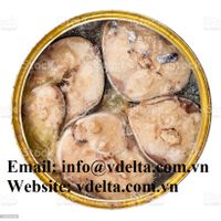 Canned Mackerel in Brine thumbnail image