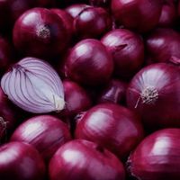 Fresh Red Onion From Egypt To European Crop 2021 thumbnail image