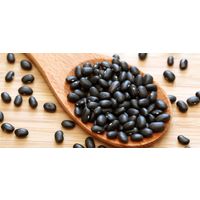 Black Beans For Sale thumbnail image