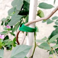 Plant Ties Adjustable Hook and loop cable tie for gardening 10mmx6m hook loop roll thumbnail image