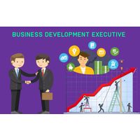 Business Development Executive thumbnail image