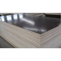 XBR Film Faced Plywood , Construction Plywood , Phenolic Film Faced Plywood thumbnail image