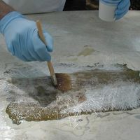 Boat Price Cutting Fiberglass Chopped Strand Powder Alkali Resistant Roving Glass Fiber Mat For Frp thumbnail image