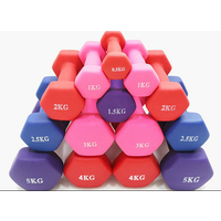 Cheap Wholesale Home Fitness Yoga 0.5kg 1kg 2 kg 3kg Hex Rubber Dumbbell Sets for Wom thumbnail image