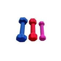 Home gym of fitness equipment -dumbbell for indoor exercise Dipping Dumbbell UD-16 thumbnail image