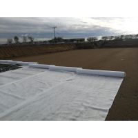 Cheap Price Non Woven Nonwoven Filter Fabric For Road Driveway Geotextile thumbnail image