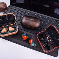 woodpods true wireless hifi with true wireless double master technology stereo wooden earbuds true t thumbnail image