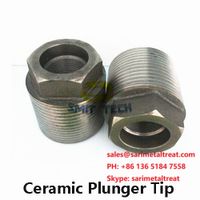Ceramic Laser Plunger piston Tips for Aluminum die casting machine thumbnail image