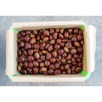 Fresh Chestnut(Plastic Container packing) thumbnail image