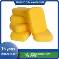 customized Cleaning Foam Car Ceramic Coating Janitorial Supplies Scrub Household Products Sponge thumbnail image