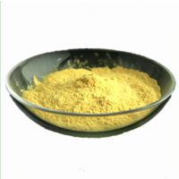 Fast Delivery Loquat Powder Plant Extracts thumbnail image