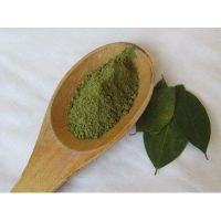 leaf Coca Powder Medicinal (Erythroxylum) from peru thumbnail image