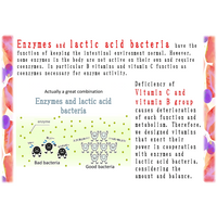 Enzyme x Lactic Acid Bacteria x Vitamin B & C thumbnail image