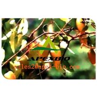 supply best quality Griffonia Seeds Extract 50.0%~98.0% 5-HTP thumbnail image