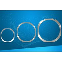 Stainless steel wafer frame ring thumbnail image