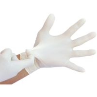 Disposable Latex gloves powder free and powdered for sale thumbnail image