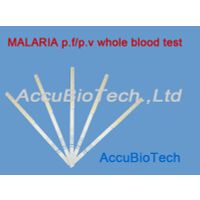 rapid malaria P.F/P.V whole blood test thumbnail image