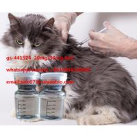fip cat GS441524 / gs-441524 / gs 441524 fipv treatment China Factory Supply thumbnail image