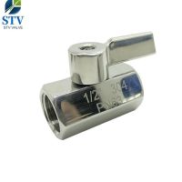Stainless Steel Mini Ball Valve With SS Handle thumbnail image