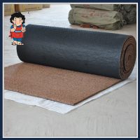PVC Printing/Anti Slip/Non Slip/Flooring/Coil /Car/Door Carpet Mat with Spike Backing thumbnail image