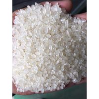 Calrose rice medium grain- Short grain round rice for Egyptian market thumbnail image