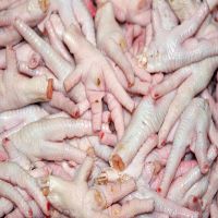 Grade A Frozen processed Chicken Feet and Paws thumbnail image