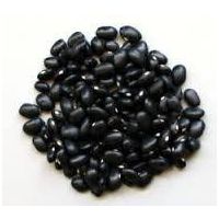 Black Beans from Kenya thumbnail image