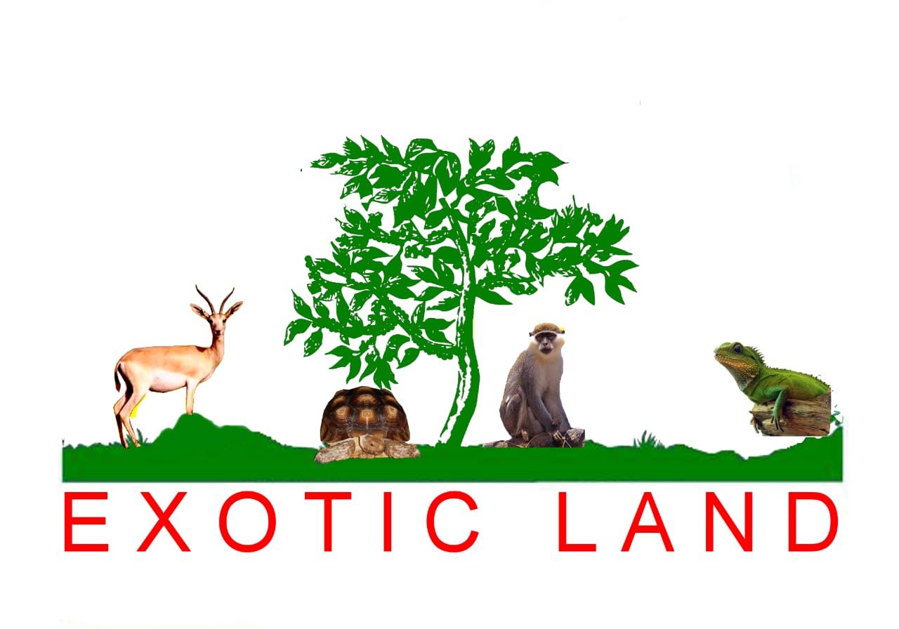 Exotic Land logo