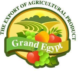 Grand Egypt Agro For Import &Export logo