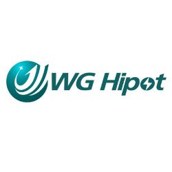 Wuhan WG Hipot Electric Tester Co.,Ltd logo