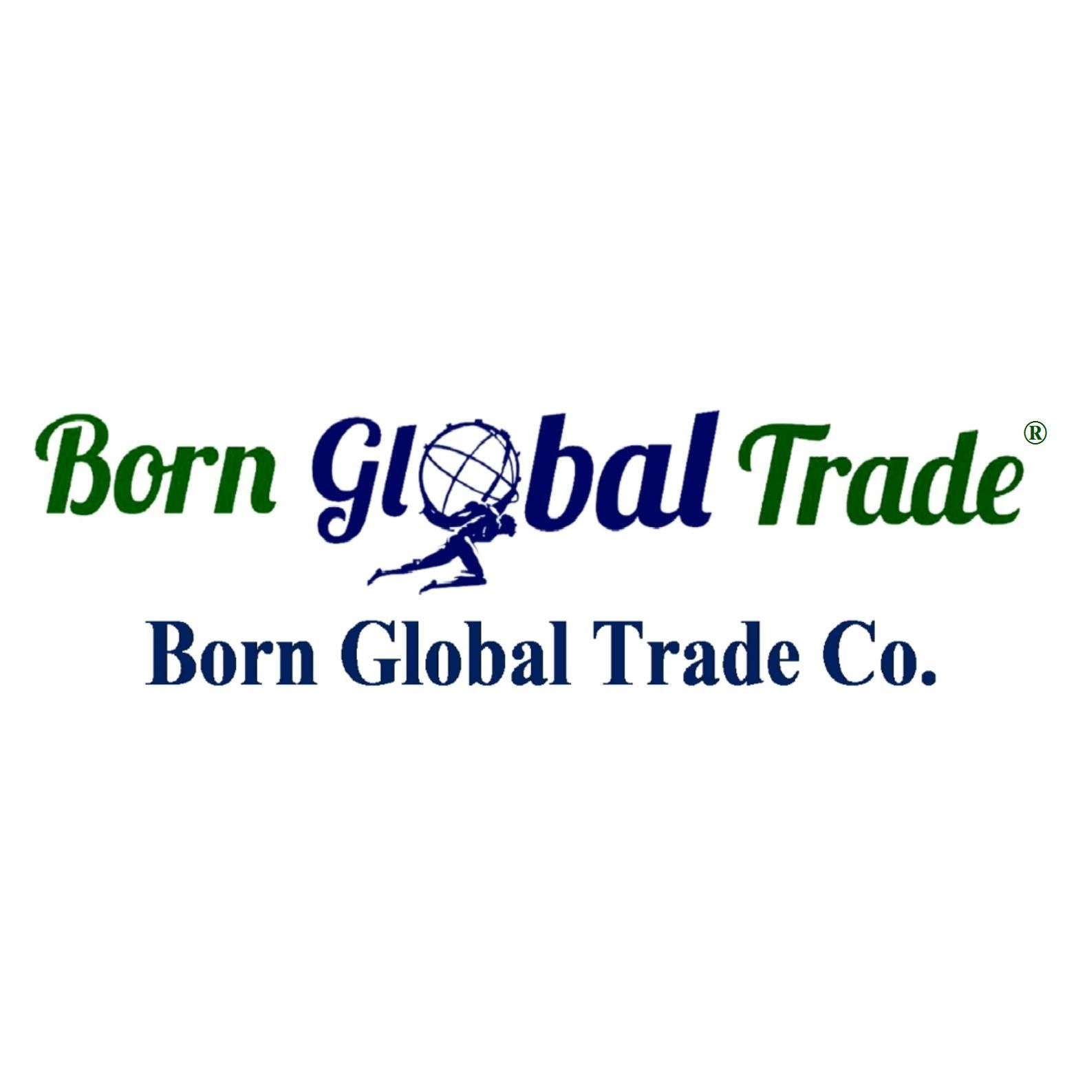 Born Global Trade logo