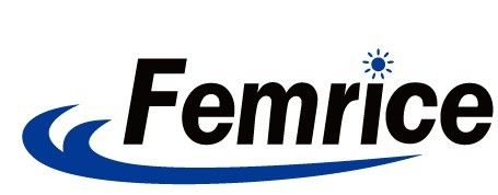 Femrice (China) Technology Co., Ltd logo
