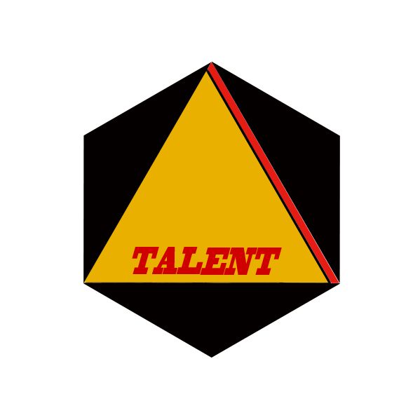 Suzhou Talent Import And Export Co., Ltd logo