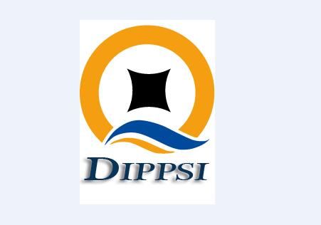 DIPPSI CHINA LTD logo