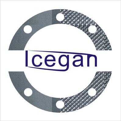 YuYao Icegan Seals&Gaskets Factory logo